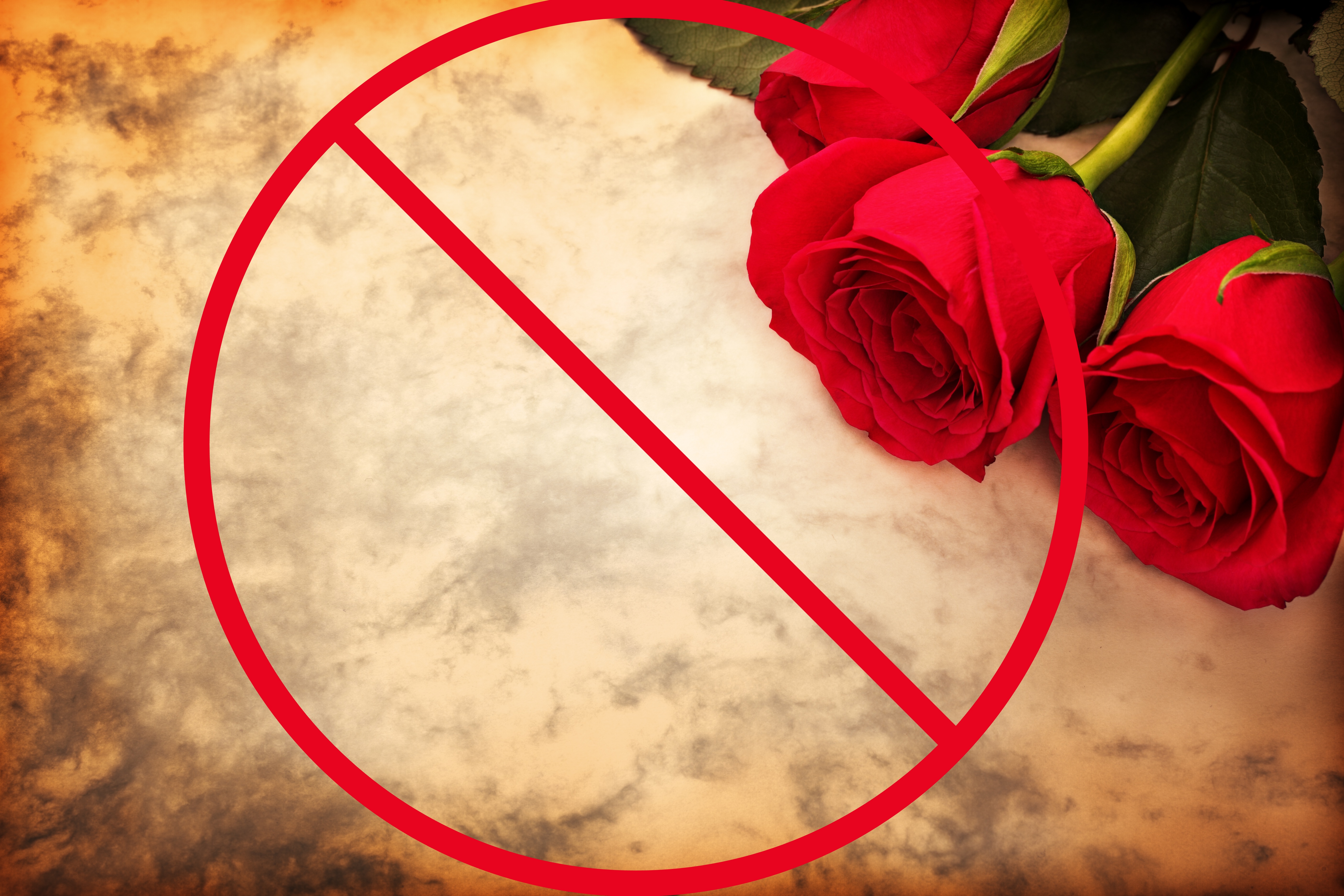 No Flowers for Valantines Day Final